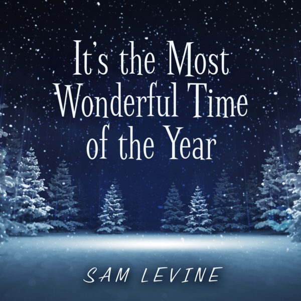 Most Wonderful Time Of The Year-Levine